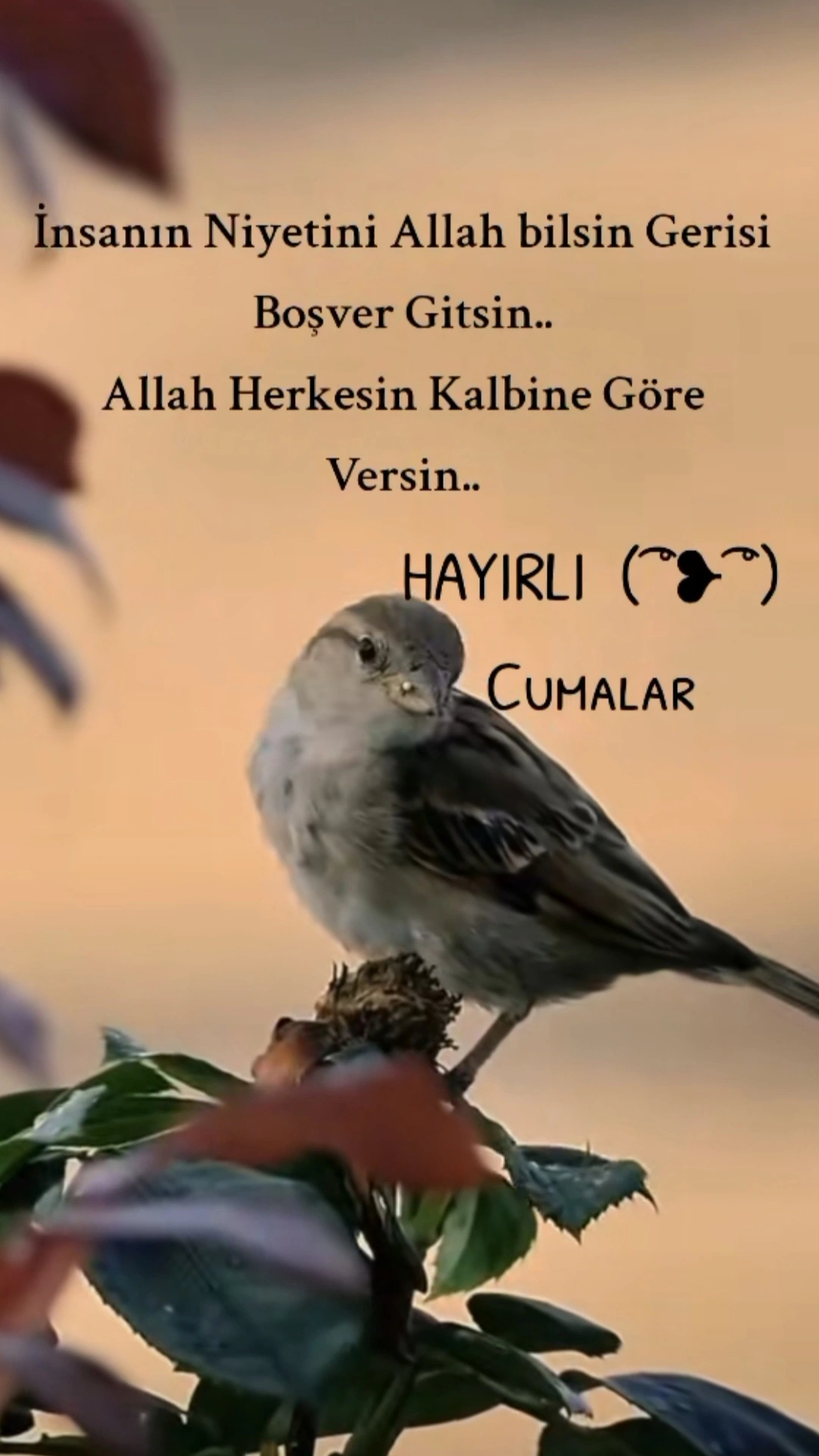 1000089303.webp